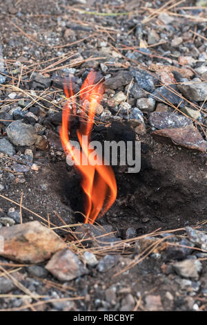 Flammes de Chimère mont de l'underground. Le feu du gaz naturel dans les roches à Cirali, Turquie. Banque D'Images