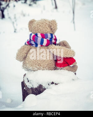 Deux ours en peluche ours brun assis serrant sur moignon et regarder dans la distance, posture dos à la caméra, journée d'hiver Banque D'Images