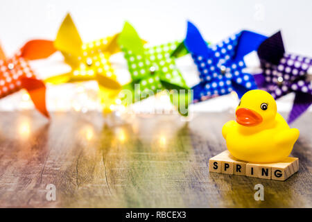 Arc-en-ciel coloré et roulades de canard jaune sur une planche en bois pour le plaisir de l'arrière-plan joyeux printemps, été, Fête, Baby Banque D'Images