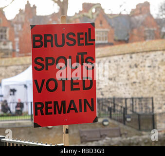 Londres, Royaume-Uni. 9 janvier 2019, un intéressant pro bannière laisser à l'extérieur de la Chambre des communes Crédit : Ian Davidson/Alamy Vivre NewsBre Banque D'Images