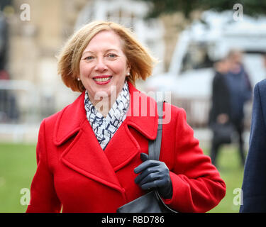 Westminster, London, 09th jan 2019. Lesley Laird, député et leader adjoint du parti travailliste écossais. Les politiciens sont interviewés sur College Green pour donner leurs réactions à cet après-midi, modification de vote du Parlement, qui a été perdu par le gouvernement. Credit : Imageplotter News et Sports/Alamy Live News Banque D'Images