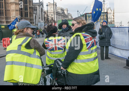 Londres, Royaume-Uni. 9 janvier 2019. Les protestations d'arrêter groupe SODEM Brexit (Stand de Défi Mouvement européen) et les militants pro-Brexit continuer en face du Parlement. Parmi les militants pro-Brexit ont été de nouveau certains partis d'extrême droite 'yellow jackets', dont la plupart ont été relativement modérées. Crédit : Peter Marshall/Alamy Live News Banque D'Images