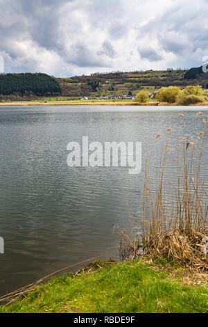 L'Meerfelder Maar du lac de volcan, dans l'Eifel, Allemagne sur une journée de printemps ciel couvert avec premier plan. Banque D'Images