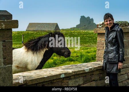 Un poney Shetland au Jarlshof et préhistoriques colonisation scandinave site archéologique au Shetland, Écosse, Royaume-Uni, Europe. Banque D'Images