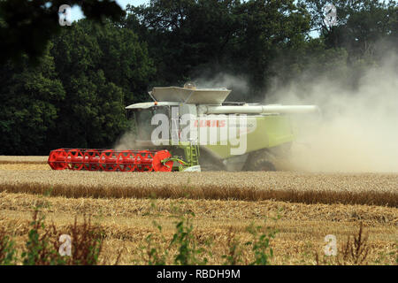 Moissonneuse Batteuse Banque D'Images