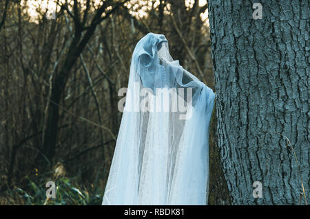 Un crâne de mouton effrayant couvert dans une feuille fantomatique accrochée à un arbre dans un bois en hiver. Avec un edit. Banque D'Images