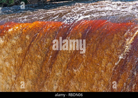 Close-up coloré d'une région inondée Tahquamenon Falls de Tahquamenon Falls State Park dans la région de Michigan Banque D'Images