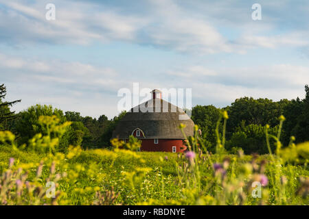 Avis de Ryan's Grange ronde en Johnson Sauk State Park à travers les fleurs sauvages par un après-midi d'été. Annawan, Illinois, États-Unis Banque D'Images