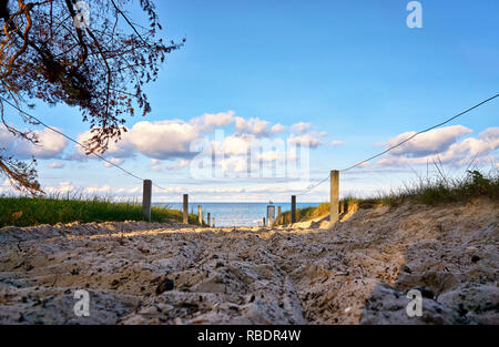 Chemin de la plage de sable de Binz sur l'île de Rügen dans la mer Baltique. Mecklenburg-Vorpommern, Allemagne Banque D'Images