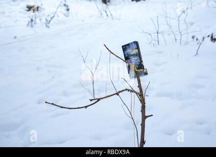 La Russie, l'Ural - décembre 2018, une boîte vide avec des cigarettes se trouve dans les buissons, une sorte de la pollution de l'environnement. Déchets, ordures, déchets Banque D'Images