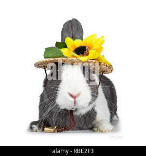 Gris blanc avec mignon lapin européen, Stting portant un chapeau de paille avec des fleurs. En regardant vers l'avant de l'appareil photo. Isolé sur fond blanc. Banque D'Images