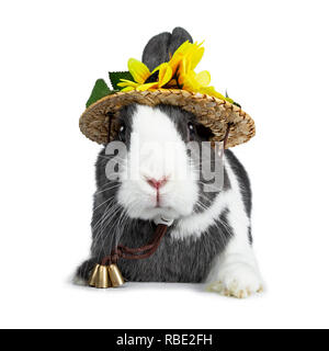Gris blanc avec mignon lapin européen, Stting portant un chapeau de paille avec des fleurs. En regardant vers l'avant de l'appareil photo. Isolé sur fond blanc. Banque D'Images