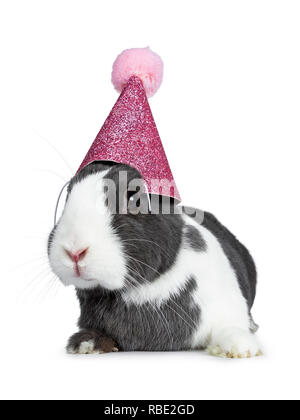 Mignon lapin de gris, le blanc, portant un chapeau rose avec pompon. Looking at camera face à face. Isolé sur fond blanc. Banque D'Images