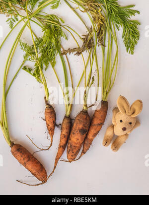 Carottes et un lapin en peluche isolé sur fond blanc Banque D'Images