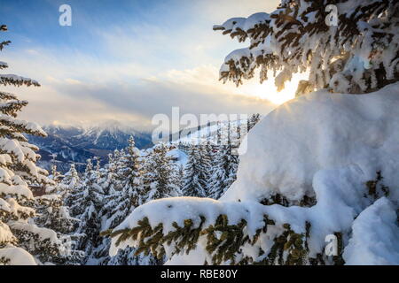 Sunbeam dans les bois enneigés encadrée par le coucher du soleil d'hiver Bettmeralp Française, canton du Valais Suisse Europe Banque D'Images