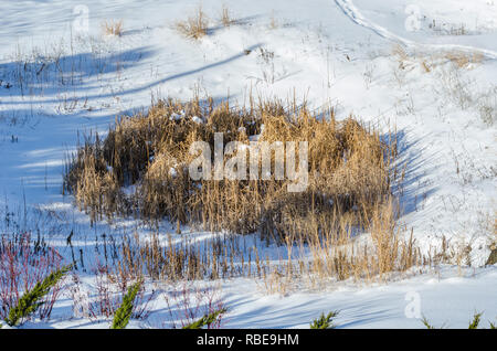 L'herbe d'hiver et la neige vue aérienne Banque D'Images