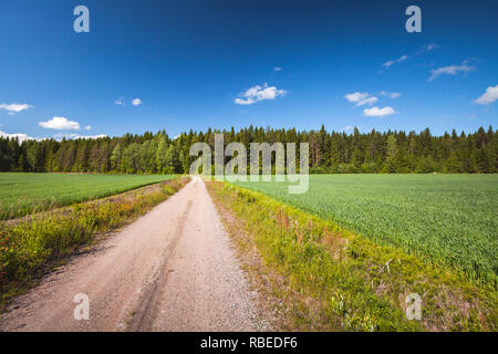 Routes rurales vide tourner champ vert suumer sous ciel bleu. Photo de fond du paysage, la Finlande Banque D'Images