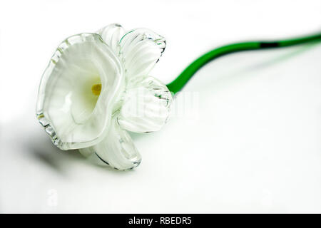 Narcisses en verre fleur jonquille art close up on white background Banque D'Images