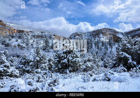 La neige a couvert les falaises de red rock de Zion National Park, l'entrée est. Banque D'Images