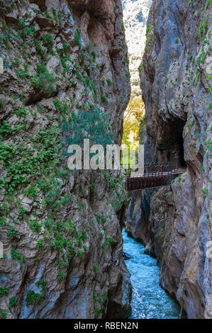 Pont de chemin de fer sur le chemin de fer de Kalavrita un 750mm gauge train à crémaillère au départ de Diakofto, une ville de montagne, de la côte à Kalavryta, Grèce Banque D'Images