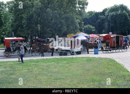 Les charrettes et chevaux,Palanga, Lituanie Banque D'Images