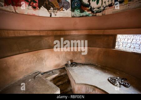 Python royal Temple (Temple des Pythons) dans la région de Ouidah, Bénin, Afrique. Banque D'Images
