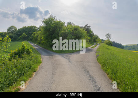 Route fourchue au printemps, Königheim, Bade-Wurtemberg, Allemagne Banque D'Images