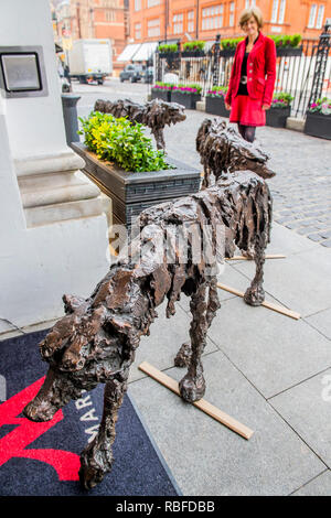 Londres, Royaume-Uni. 10 janvier 2019. Clare Trenchard lifesize du loup de bronze (£20 000 de chaque galerie haut en couleurs) - Le Mayfair Antiques & Fine Art Fair, London Marriott Hotel Grosvenor Square. Crédit : Guy Bell/Alamy Live News Banque D'Images