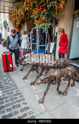 Londres, Royaume-Uni. 10 janvier 2019. Clare Trenchard lifesize du loup de bronze (£20 000 de chaque galerie haut en couleurs) - Le Mayfair Antiques & Fine Art Fair, London Marriott Hotel Grosvenor Square. Crédit : Guy Bell/Alamy Live News Banque D'Images