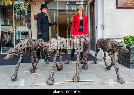 Londres, Royaume-Uni. 10 janvier 2019. Clare Trenchard lifesize du loup de bronze (£20 000 de chaque galerie haut en couleurs) - Le Mayfair Antiques & Fine Art Fair, London Marriott Hotel Grosvenor Square. Crédit : Guy Bell/Alamy Live News Banque D'Images