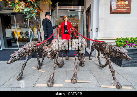 Londres, Royaume-Uni. 10 janvier 2019. Clare Trenchard lifesize du loup de bronze (£20 000 de chaque galerie haut en couleurs) - Le Mayfair Antiques & Fine Art Fair, London Marriott Hotel Grosvenor Square. Crédit : Guy Bell/Alamy Live News Banque D'Images