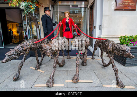 Londres, Royaume-Uni. 10 janvier 2019. Clare Trenchard lifesize du loup de bronze (£20 000 de chaque galerie haut en couleurs) - Le Mayfair Antiques & Fine Art Fair, London Marriott Hotel Grosvenor Square. Crédit : Guy Bell/Alamy Live News Banque D'Images