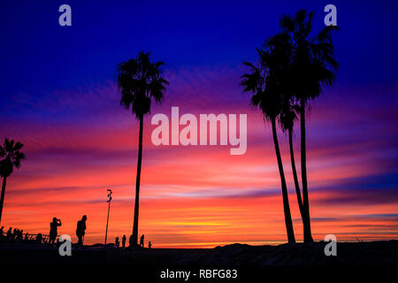 Venice Beach, Los Angeles, USA. 9 Jan 2019. Spectaculaire coucher de soleil sur la photo par le grands palmiers à Venice Beach, Los Angeles Credit : Oliver Dixon/Alamy Live News Banque D'Images