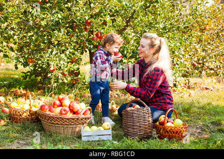 Happy Smiling girl avec mère recueillent des pommes dans le jardin. Temps de la famille concept Banque D'Images