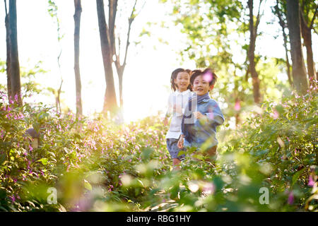 Deux petits enfants garçon et fille asiatique en champ de fleurs en parc. Banque D'Images