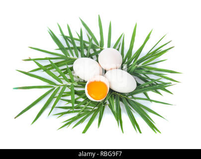 Vue de dessus les oeufs de canard avec des feuilles de bambou sur fond blanc Banque D'Images