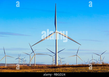 Whitelee wind farm, administré par Scottish Power, renouvelables une partie de la société espagnole Iberdrola, est le plus grand parc éolien terrestre au Royaume-Uni Banque D'Images