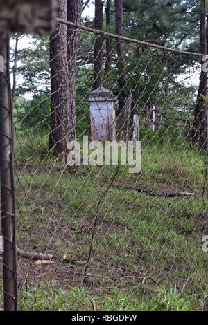 Le 1er mai. Phil-Am, cimetière des anciens combattants est le lieu de sépulture de victimes militaires et civiles des guerres étrangères et des laïcs intégrés dans le Camp John Hay Banque D'Images