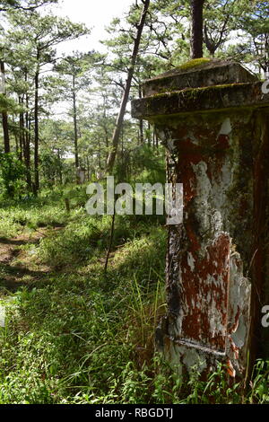 Le 1er mai. Phil-Am, cimetière des anciens combattants est le lieu de sépulture de victimes militaires et civiles des guerres étrangères et des laïcs intégrés dans le Camp John Hay Banque D'Images