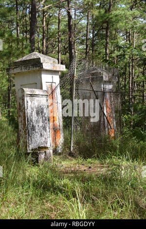 Le 1er mai. Phil-Am, cimetière des anciens combattants est le lieu de sépulture de victimes militaires et civiles des guerres étrangères et des laïcs intégrés dans le Camp John Hay Banque D'Images