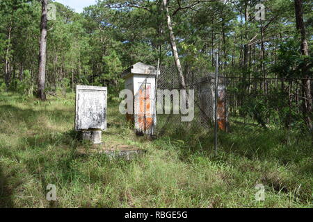 Le 1er mai. Phil-Am, cimetière des anciens combattants est le lieu de sépulture de victimes militaires et civiles des guerres étrangères et des laïcs intégrés dans le Camp John Hay Banque D'Images