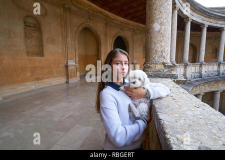 Fille de tourisme avec le pet doy dans Alhambra de Grenade en Espagne Banque D'Images