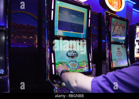 Un homme jouant les machines de jeux de hasard à gros enjeux / cote fixe les bornes de pari dans un casino / centre de divertissement pour adultes seulement en UK Banque D'Images