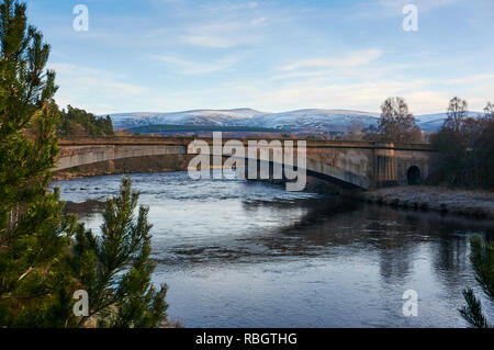 Le nouveau pont sur la rivière Spey Spey, Grantown on Spey, en Écosse Banque D'Images