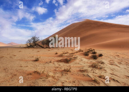 Sel Sossusvlei poêle avec des dunes de sable rouge dans le désert de Namib, Namibie, Afrique. Banque D'Images