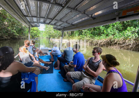 Les touristes sur une croisière Daintree River, parc national de Daintree, Wet Tropics, Far North Queensland, Queensland, Australie, FNQ Banque D'Images