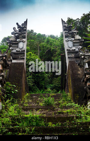 Temple abandonné dans la jungle. Ancien démoli bâtiment en pierres envahis par la forêt tropicale. Paysage fantasmagorique avec ruine Banque D'Images