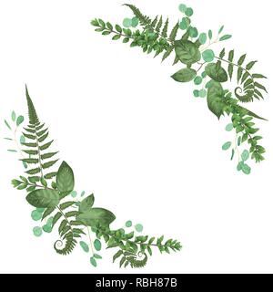 Bouquet floral Vector set design : forêt Vert fougère, branches de buis, buxus. Style aquarelle vecteur, des herbes, de l'eucalyptus,. Vecteur de mariage pour inviter c Illustration de Vecteur