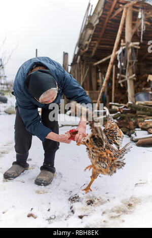 Vieille Femme l'alimentation à la main des poulets dans son jardin Banque D'Images