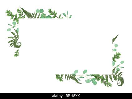 Carte vecteur floral design avec aquarelle vert, eucalyptus, fougères des forêts, des herbes, de l'eucalyptus, des branches de buis, Buxus, vert botanique, décoratives hori Illustration de Vecteur